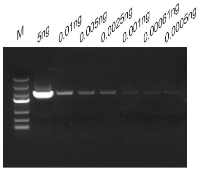 17.12ftaq mix圖4.jpg