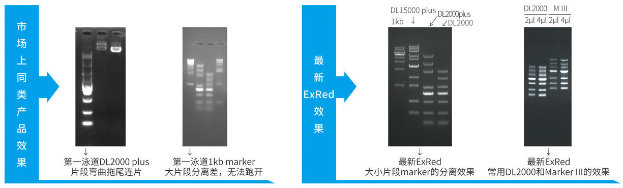 24.4.25 red對(duì)比圖.JPG